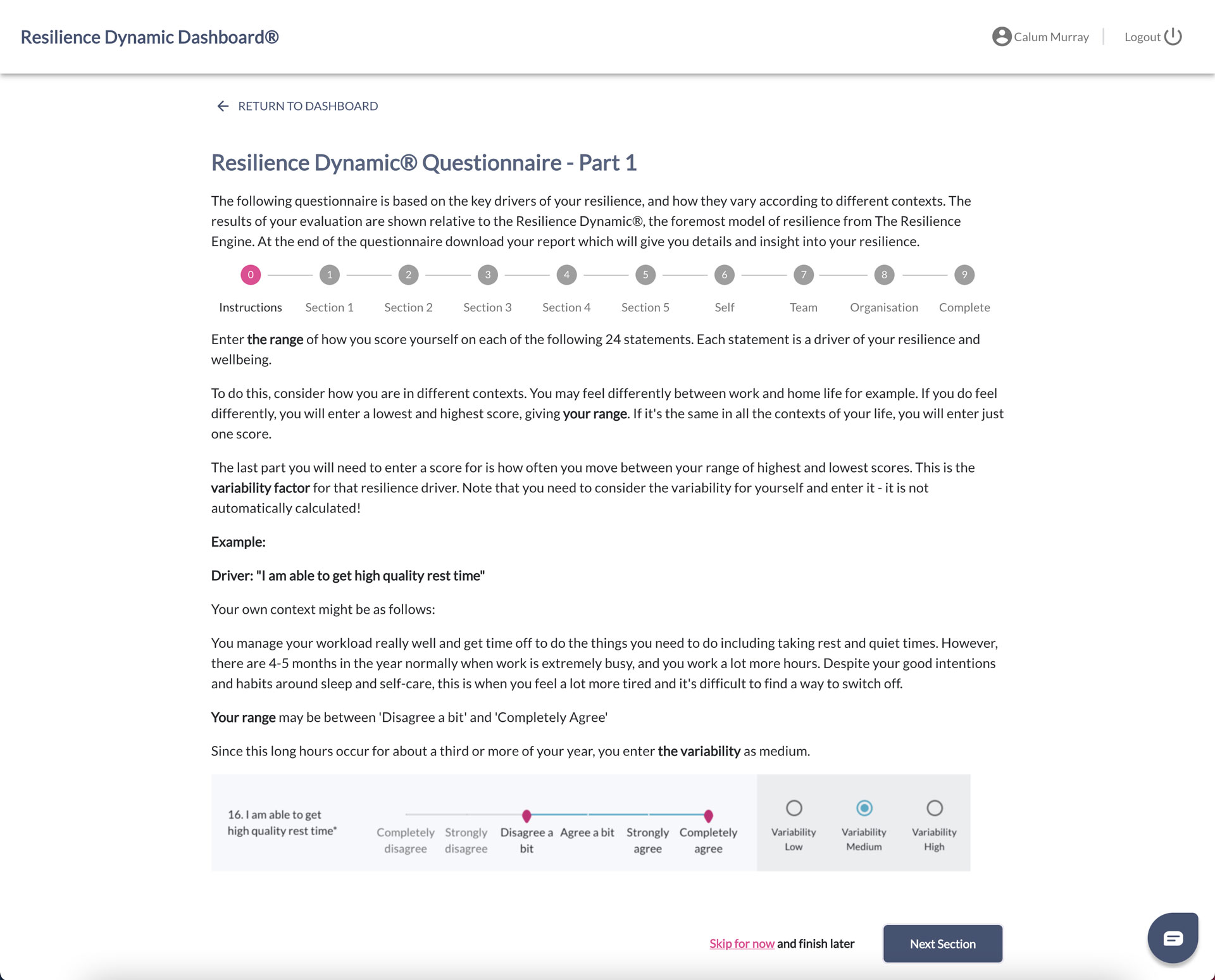 RDQ-instructions resilience dynamic questionnaire instructions webpage