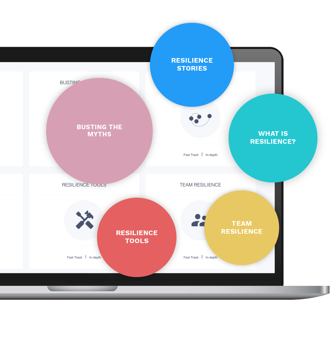 4.1.2 Dashboard-Tools Home page of the resource library. This has 4 different tools that include myth busting and team resilience.