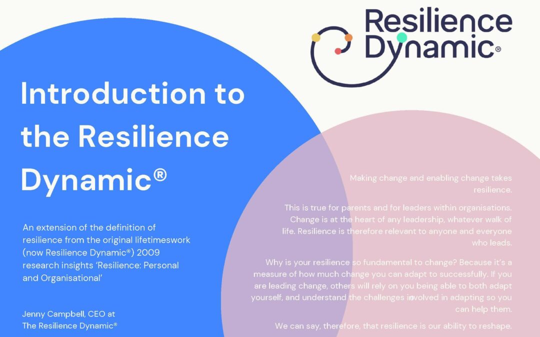 Introduction to Resilience Dynamic