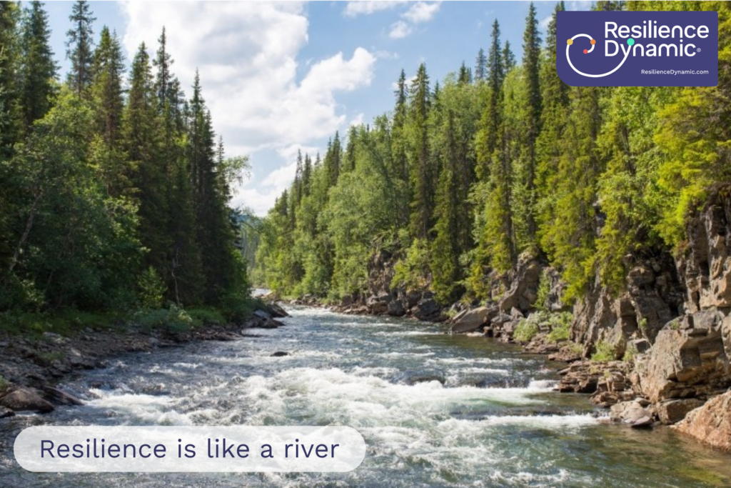 River with Resilience Dynamic logo and 'Resilience is like a river' overlaid