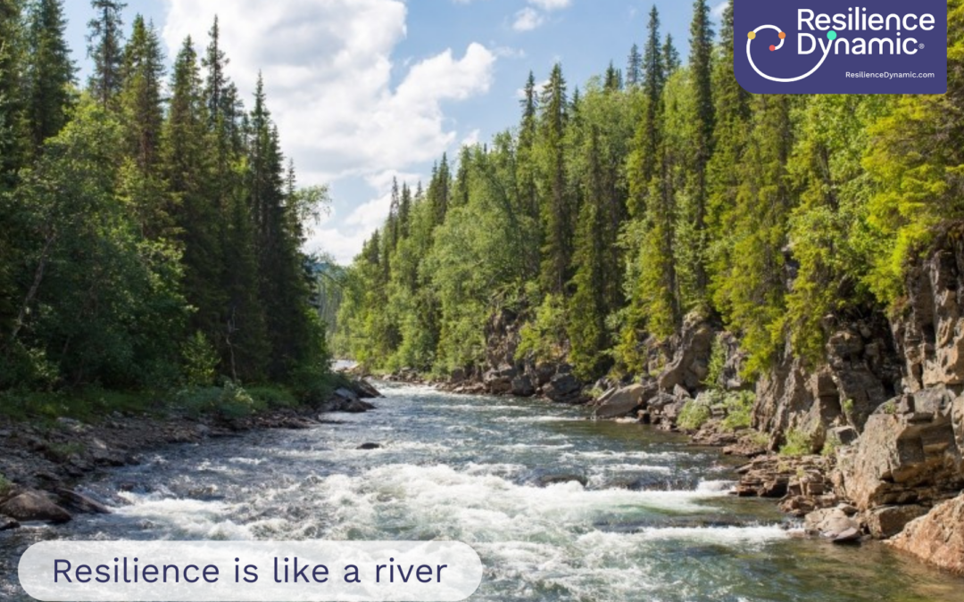 River with Resilience Dynamic logo and 'Resilience is like a river' overlaid