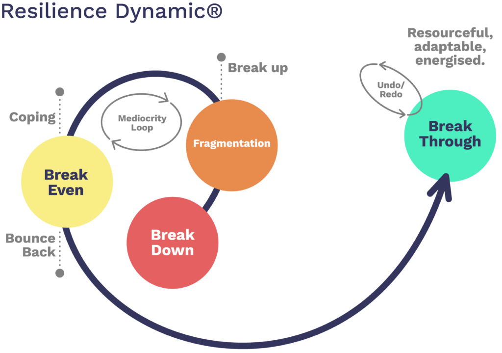 The Resilience Dynamic Model
